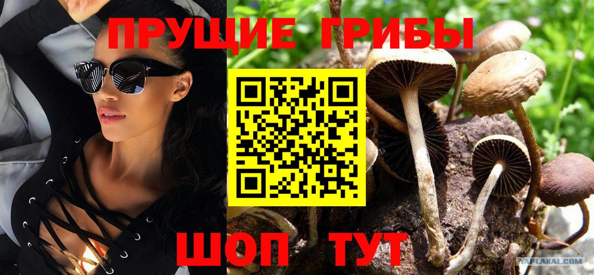 Псилоцибиновые грибы мухоморы Усть-Джегута